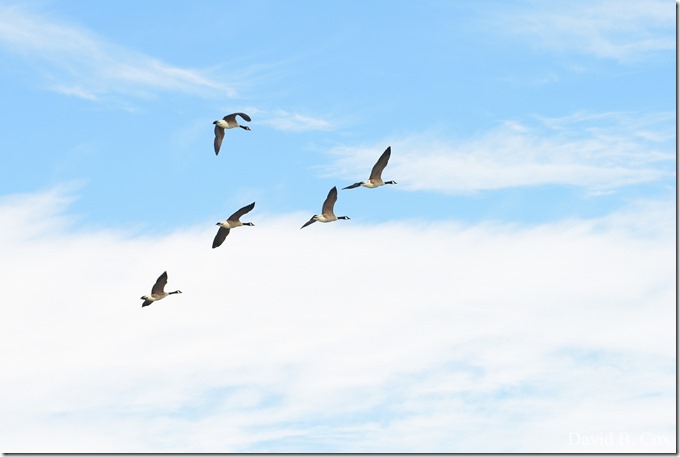 2019 02 21 Super High Tide @ G.H. & Back Shore 038