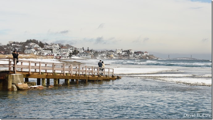 2019 02 21 Super High Tide @ G.H. & Back Shore 048