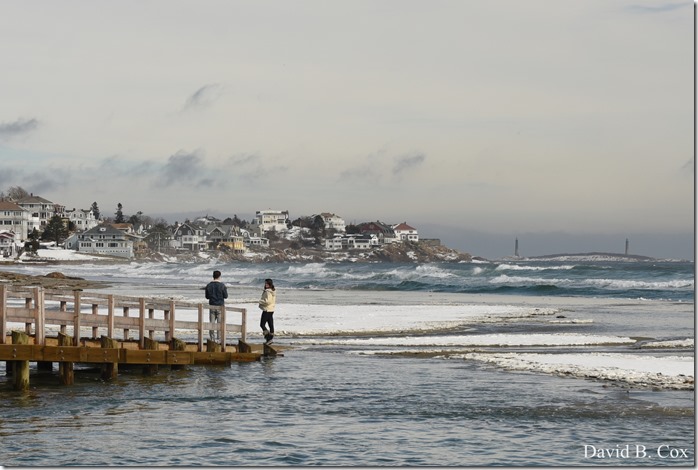2019 02 21 Super High Tide @ G.H. & Back Shore 050