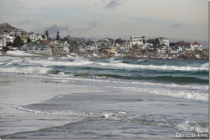 2019 02 21 Super High Tide @ G.H. & Back Shore 072