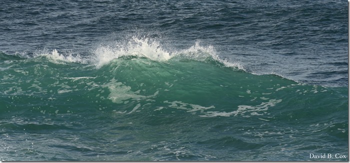 2019 02 21 Super High Tide @ G.H. & Back Shore 109