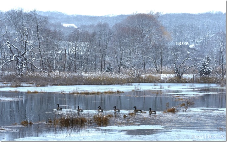 2019 2 18 Lorrain's B'thday & Snow 063