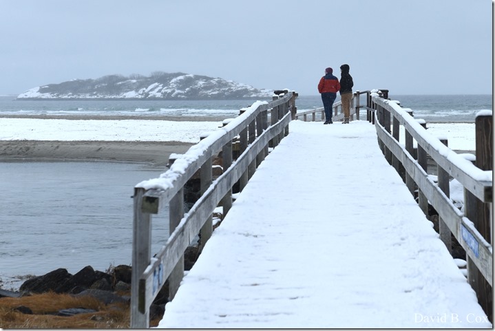 2019 2 18 Lorrain's B'thday & Snow 076