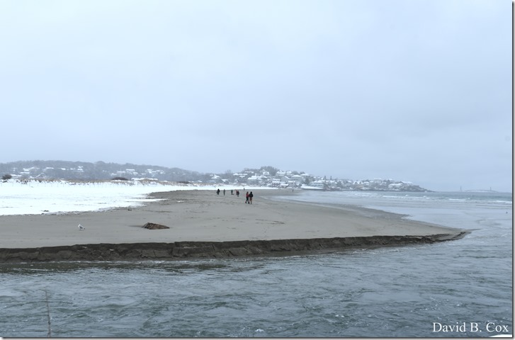 2019 2 18 Lorrain's B'thday & Snow 086