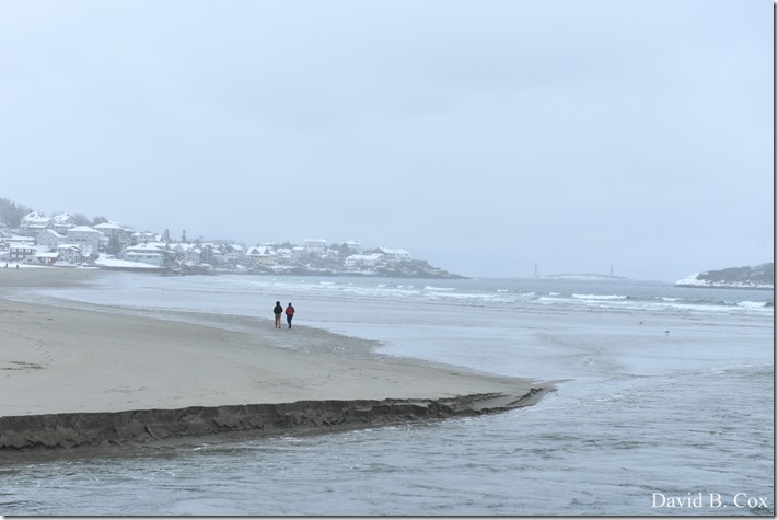 2019 2 18 Lorrain's B'thday & Snow 094