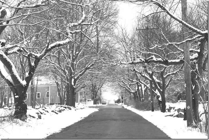 2019 2 18 Lorrain's B'thday & Snow 100