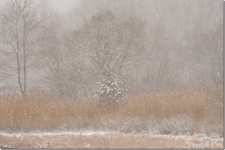 2019 2 18 Lorrain's B'thday & Snow 141