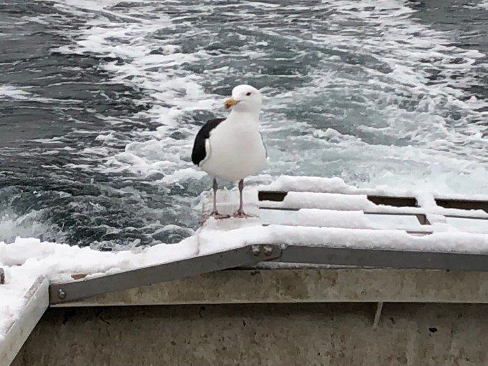 67149F3C-8BEF-4807-A20D-E30F9436E849