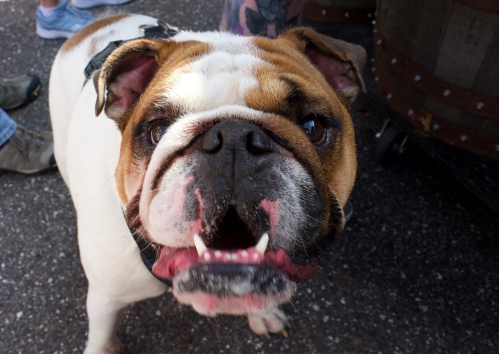 9C3A873C-AC48-4323-8DF7-F46BDD9CA577