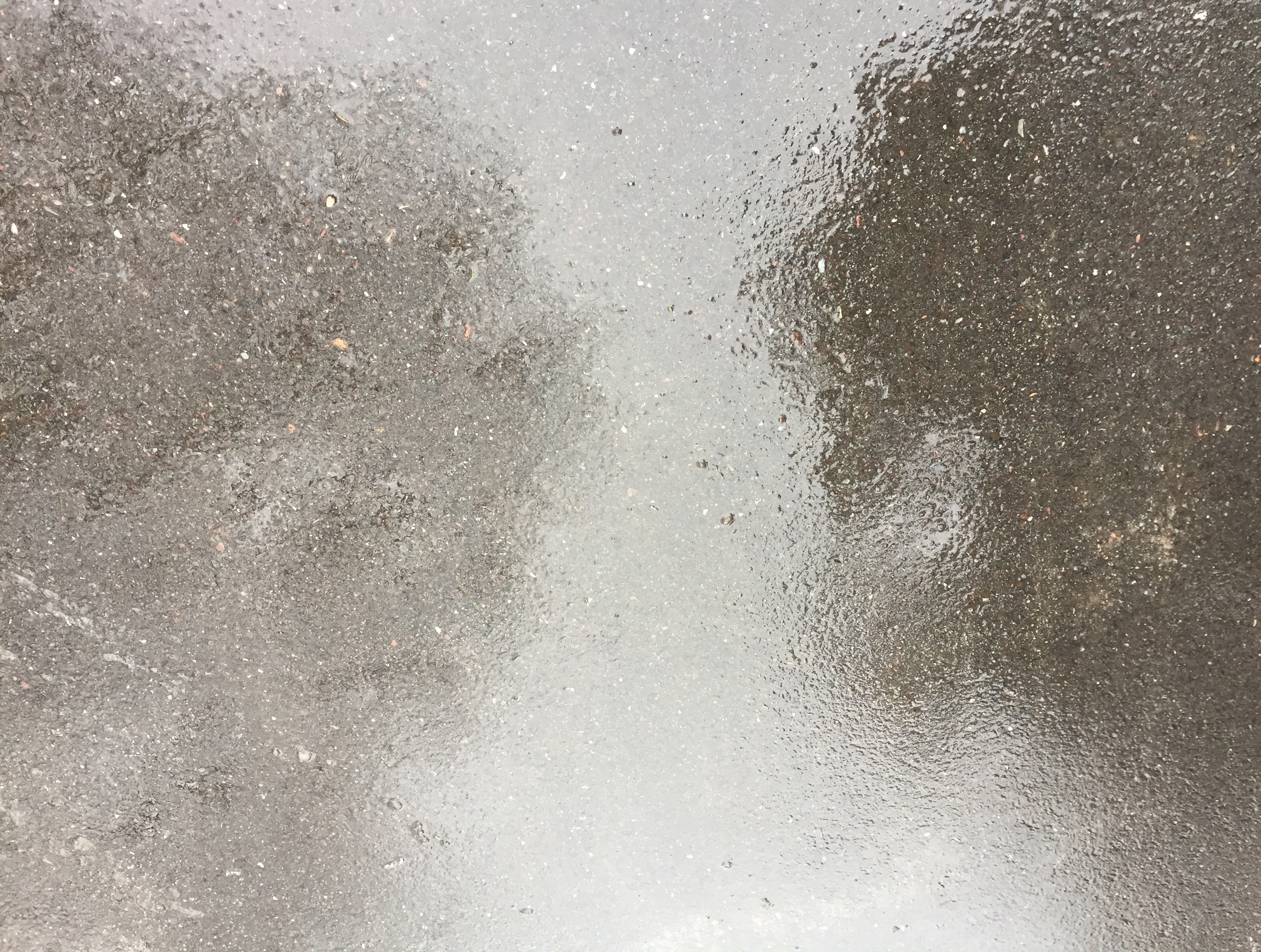 PFarrell . Untitled 2018 . Archival pigment print . 8x10 inches IMG_9404