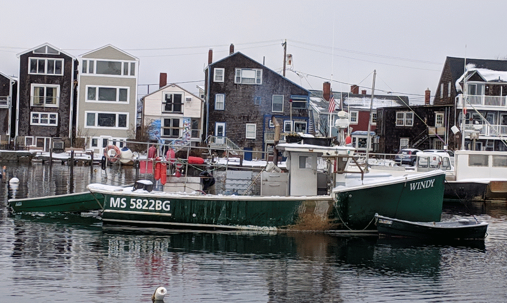 shoveling windy GIF_Winter Rockport Massachusetts Harbor just before morning high tide after big full moon_20190221_© cryan (1)