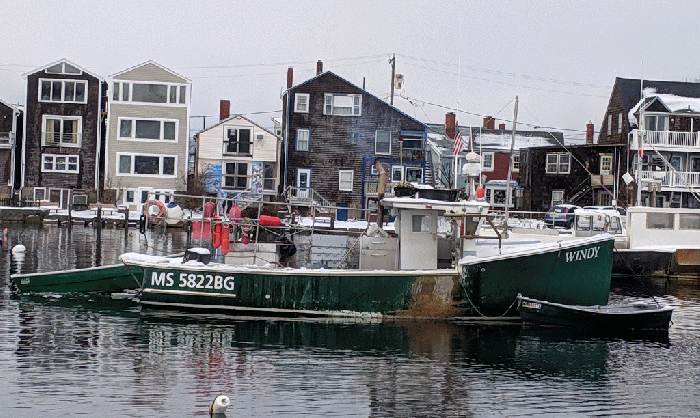 shoveling windy GIF_Winter Rockport Massachusetts Harbor just before morning high tide after big full moon_20190221_© cryan (1)