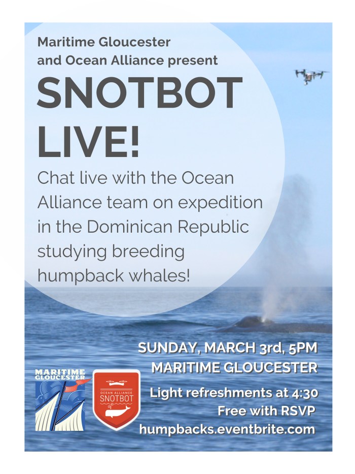 SnotBot Live Poster