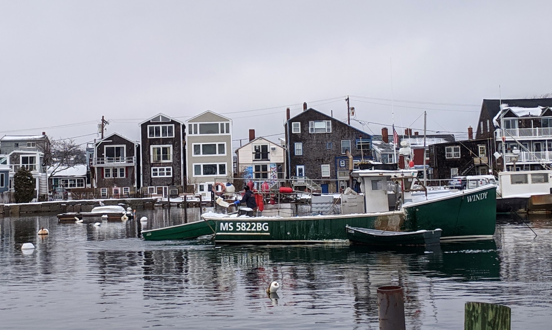 winter shoveling windy Rockport MA_20190221_© catherine ryan