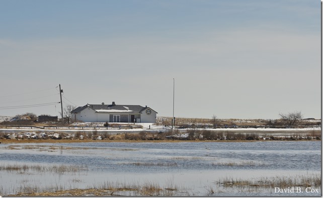 2019 02 28 GHBeach Susan GHS Hoop Playoff 011