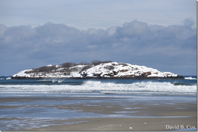 2019 03 04 D 750 Snow Day 024