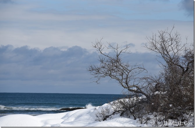 2019 03 04 D 750 Snow Day 034