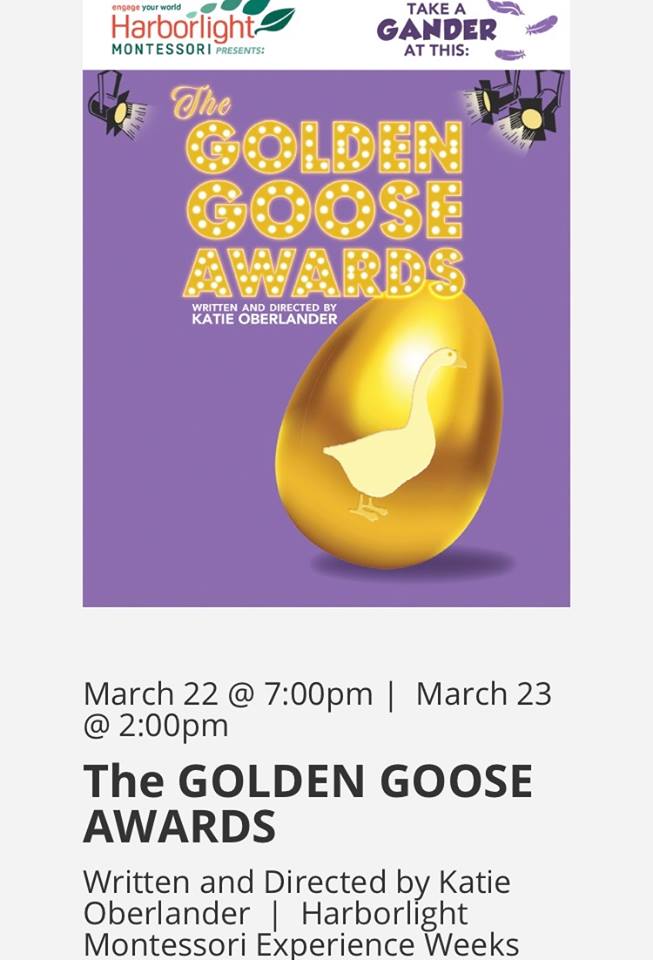 54268345_1240966396050761_306892120721981440_n