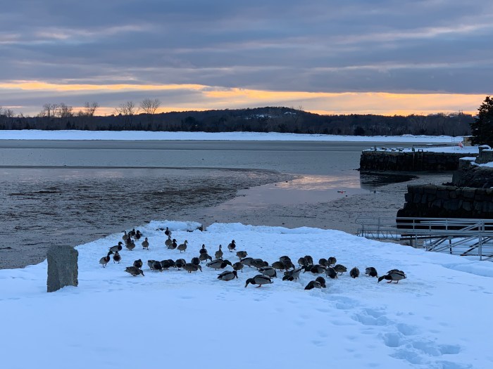 7562A027-3658-43D2-90B9-666FE31DC585