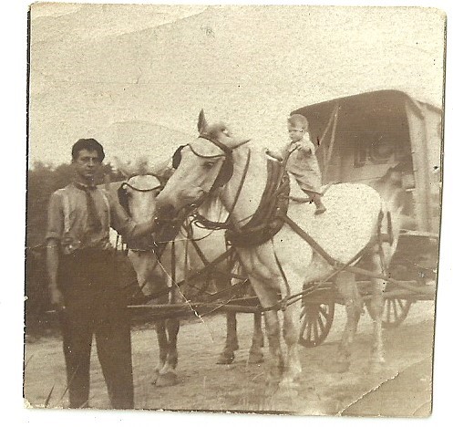 courtesy photo from david collins.jpg