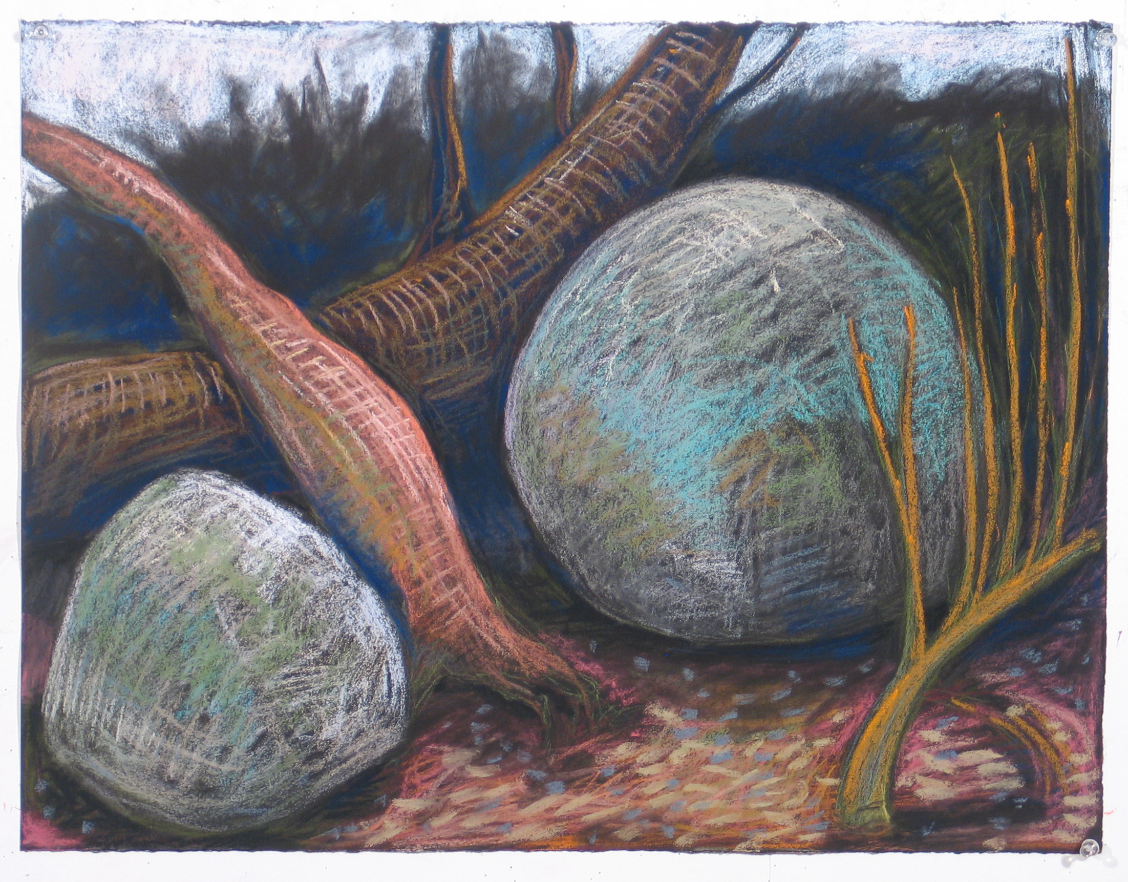 GBarzaghi . Rocks and Trees 2012 . Pastel on Stenhenge paper . 19x25 inches.JPG
