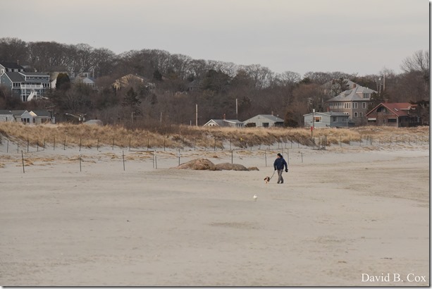 2019 04 10 Several Days D750 004