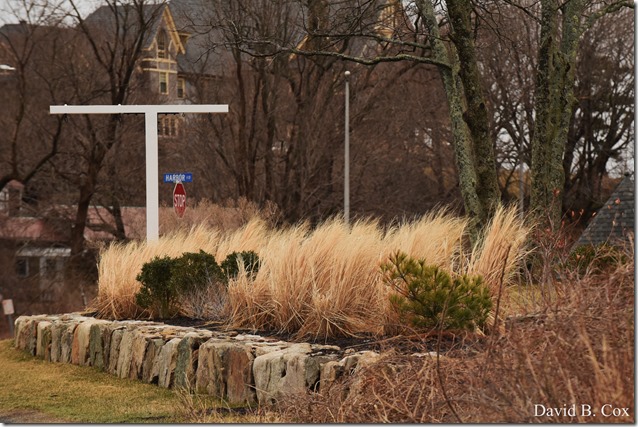 2019 04 10 Several Days D750 013