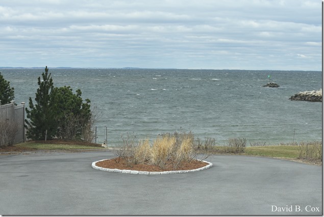 2019 04 10 Several Days D750 060