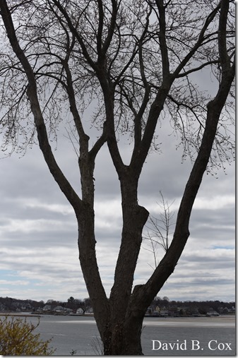 2019 04 10 Several Days D750 069