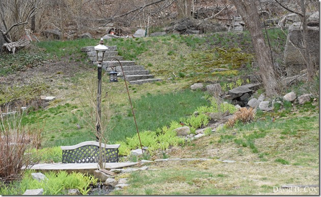 2019 04 10 Several Days D750 106