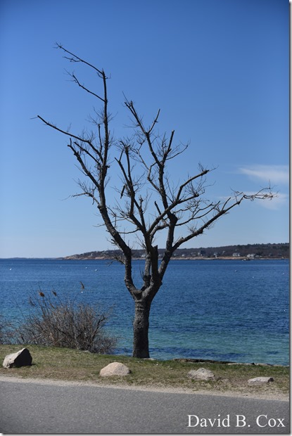 2019 04 18 GHS Softball & Much more 133