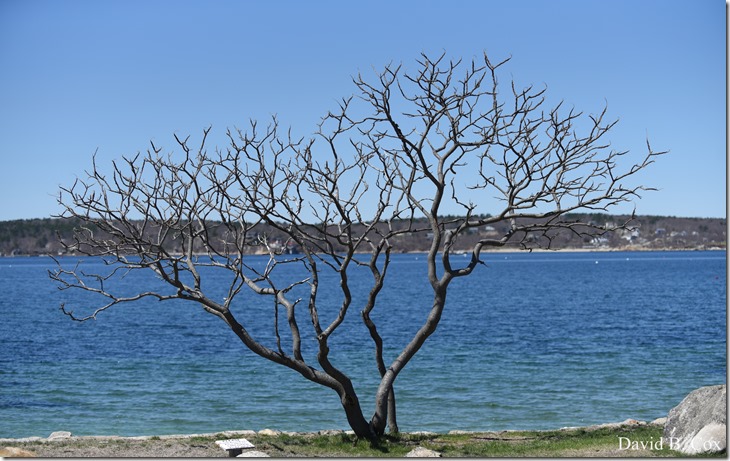 2019 04 18 GHS Softball & Much more 134