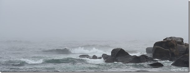 2019 04 23 Very Misc D750 003