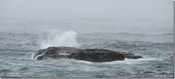 2019 04 23 Very Misc D750 005