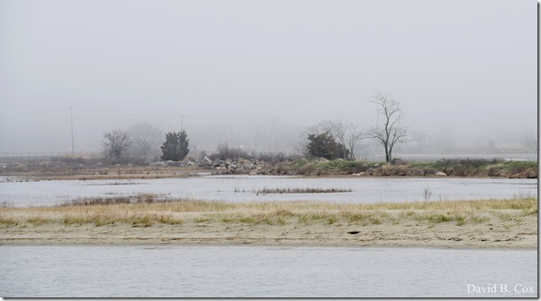 2019 04 23 Very Misc D750 023