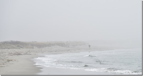 2019 04 23 Very Misc D750 025