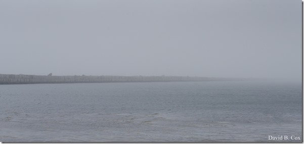 2019 04 23 Very Misc D750 032