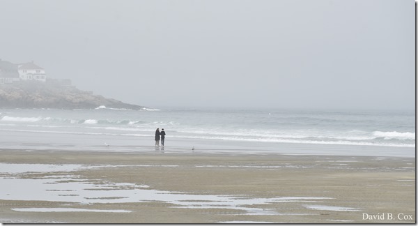 2019 04 23 Very Misc D750 050