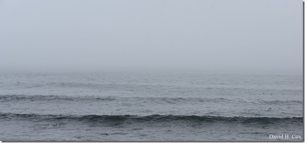 2019 04 23 Very Misc D750 063