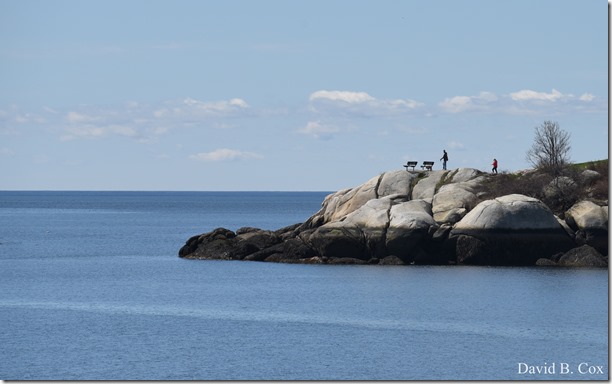 2019 04 25 GHS Softball vs M'head & Walks 117