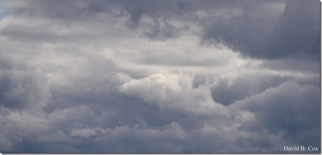 2019 04 29 Uvi & Son Skies & Amorilis 003