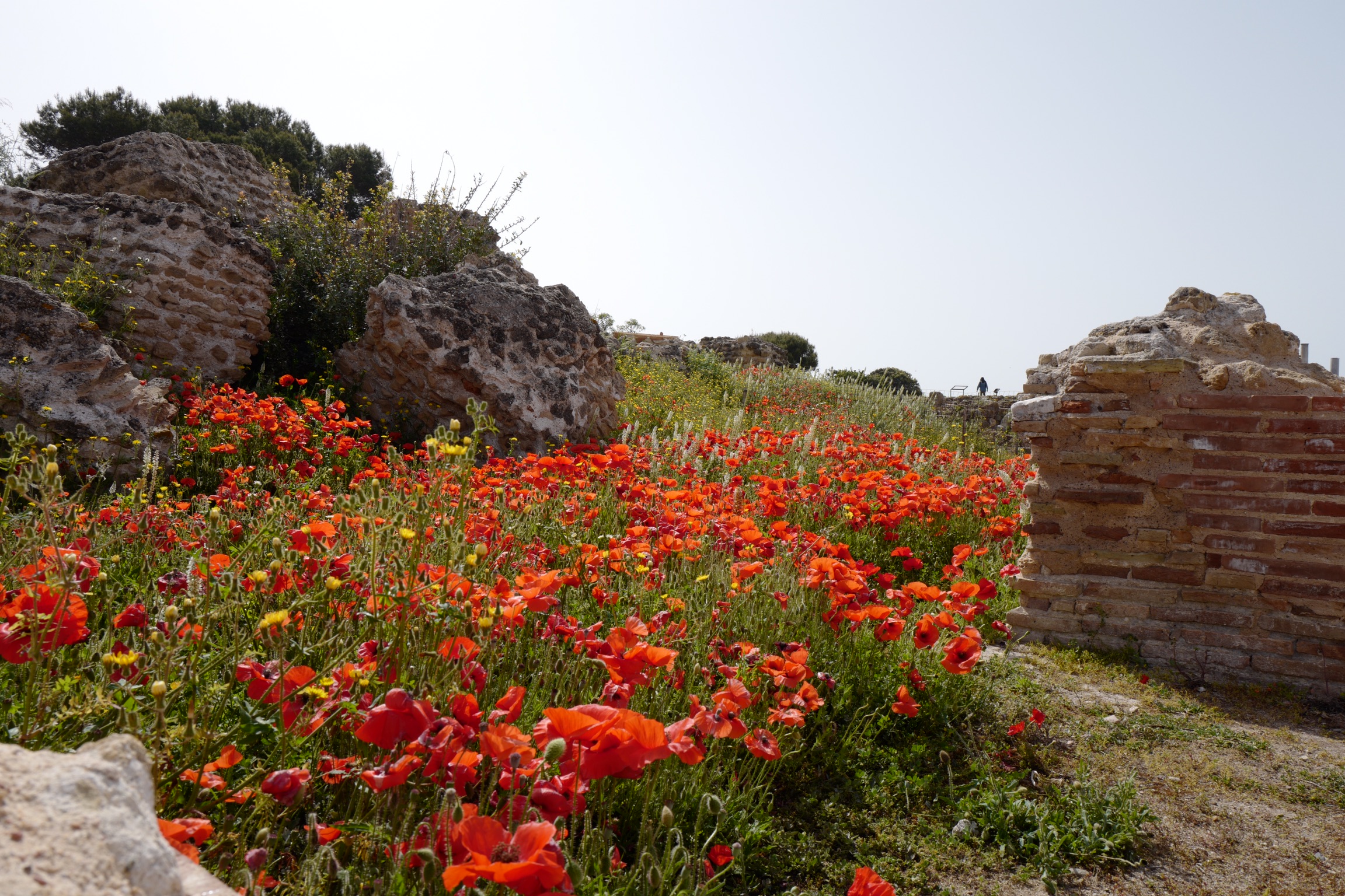 4E877D10-B117-4AEB-B547-DCE1EAF2D96D