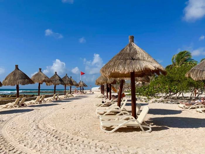 56910190_10219296748679441_7685501942176415744_n