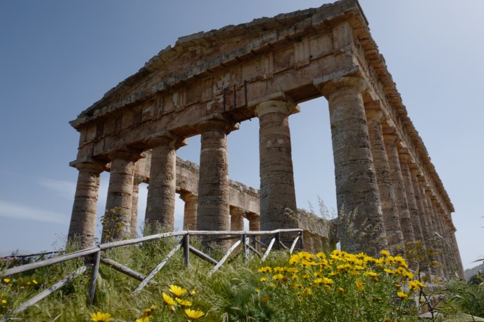 8C638985-9DC6-4A96-86C9-9BB85ABDA5C2