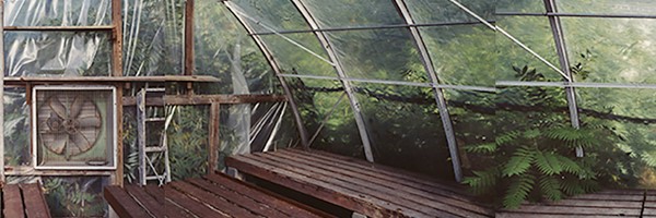 Esther Pullman Marshall's Farm Stand Greenhouse Storm Fans and Cat 2006