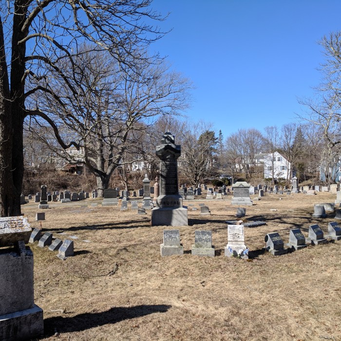 Mt Pleasant grave_20190325_© c ryan