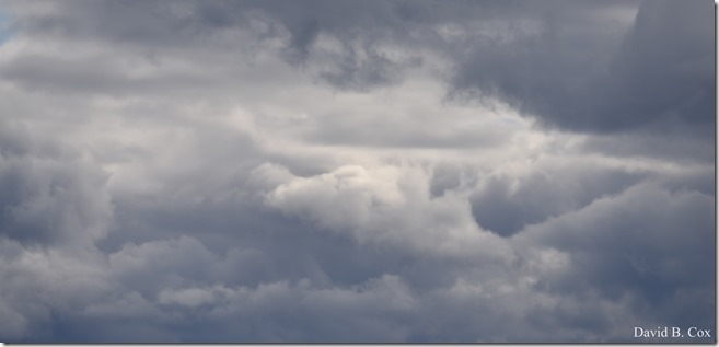 2019 04 29 Uvi & Son Skies & Amorilis 003