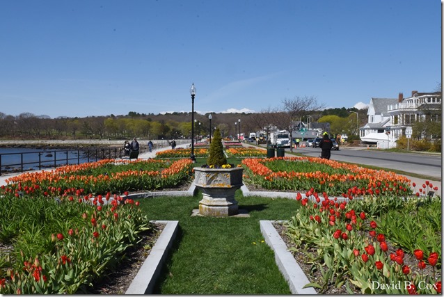 2019 05 08 Blvd BB vs Saugus Surfing 048