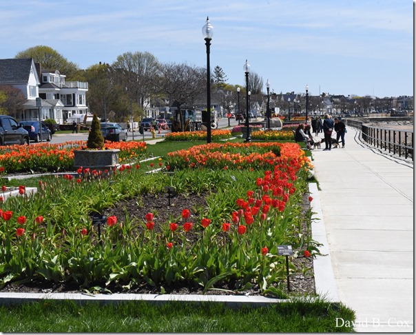 2019 05 08 Blvd BB vs Saugus Surfing 072