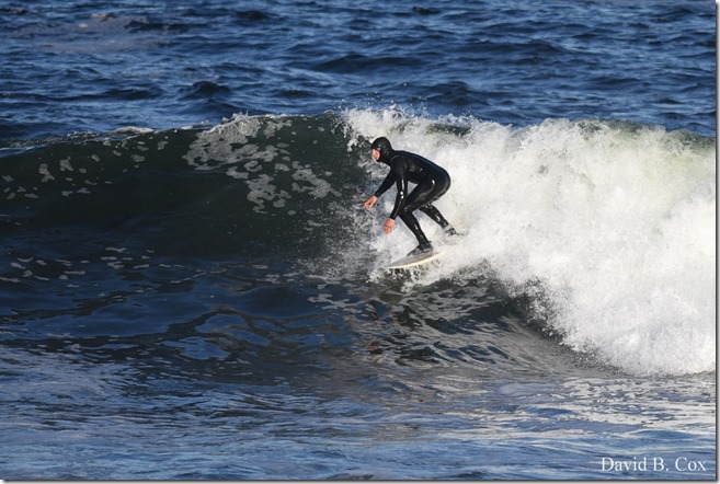 2019 05 08 Blvd BB vs Saugus Surfing 160